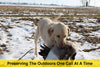 Waterfowl Goose Call - The Freezer call - Esh Custom Calls