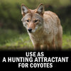 Coyote Urine